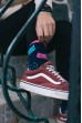Ponožky HESTY Socks Mačička