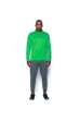 Mikina UNDER ARMOUR Storm AF Icon 1/4 Zip Green