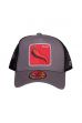 Šiltovka FREEGUN Salsa Trucker grey